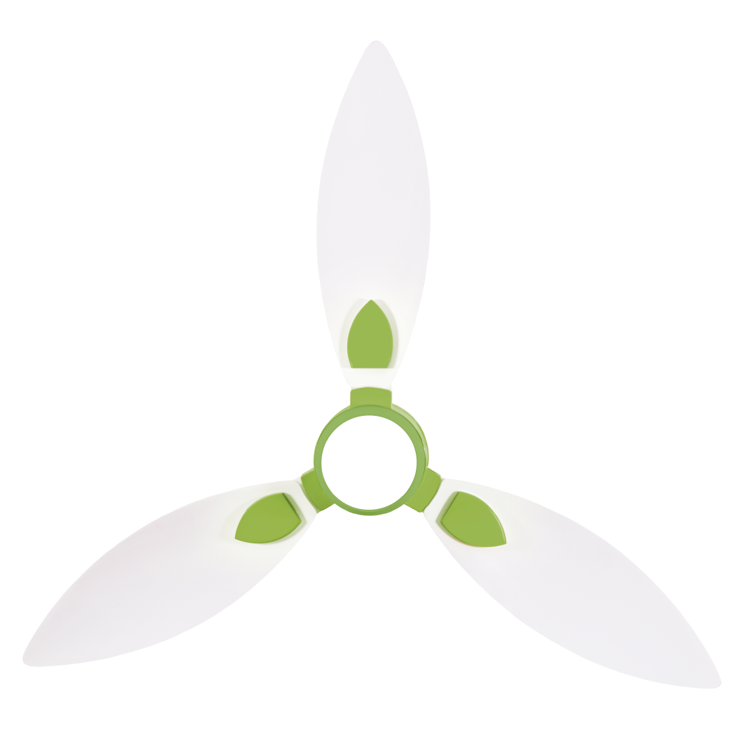 White & Light Green