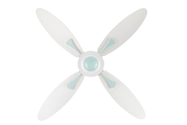 White & Light Green