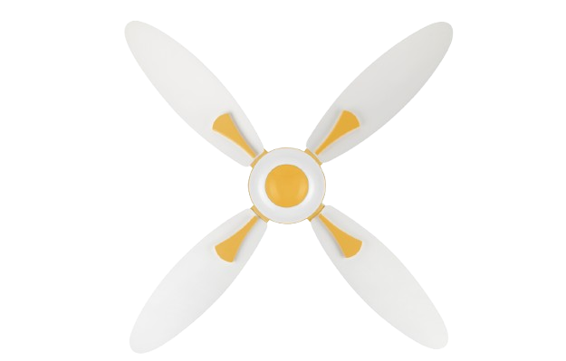 White & Yellow