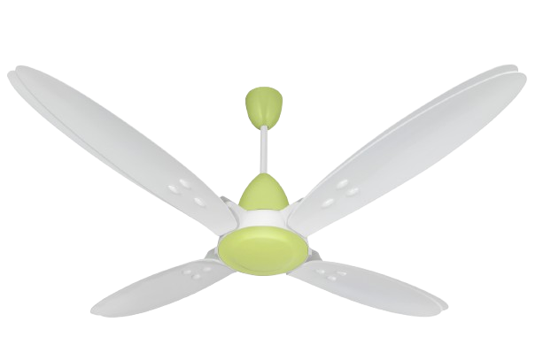 White & Light Green