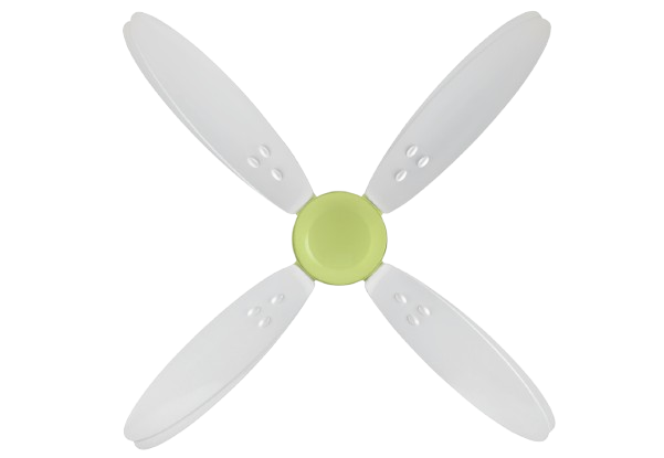 White & Light Green
