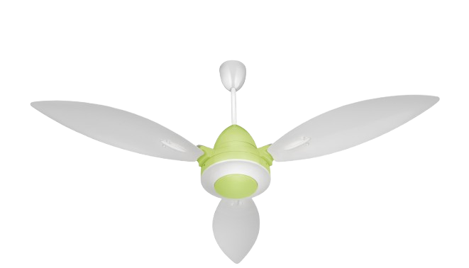 White & Light Green