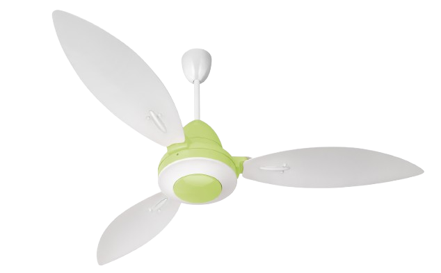 White & Light Green