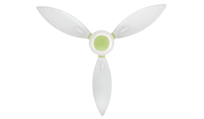 White & Light Green