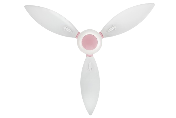 White & Light Pink
