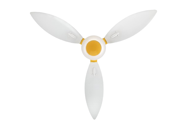 White & Yellow
