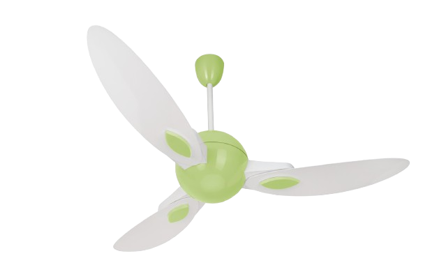 White & Light Green