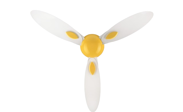 Bloom Plumeria